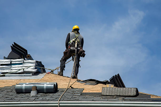 Professional Roof Inspection technician working in Himrod, NY